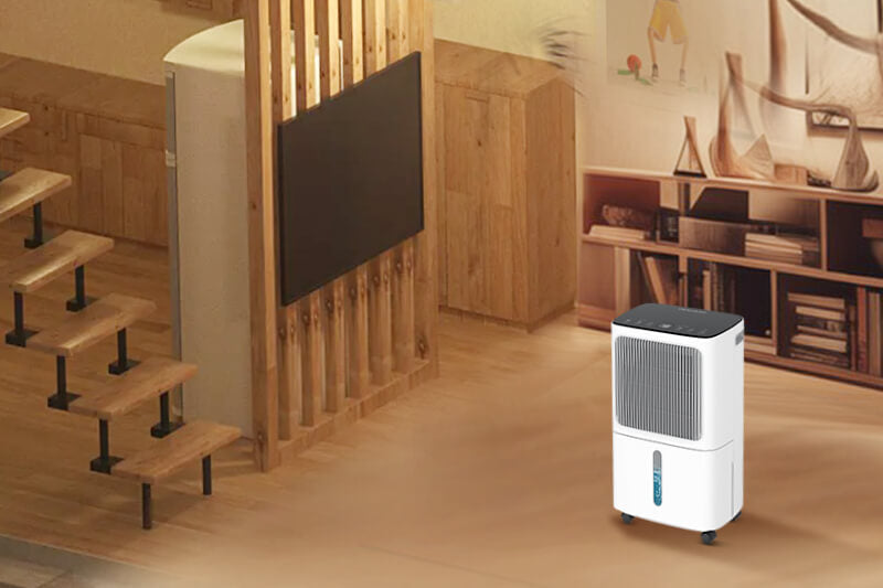 Basement & Crawl Space Humidity Control Guide | VEAGASO