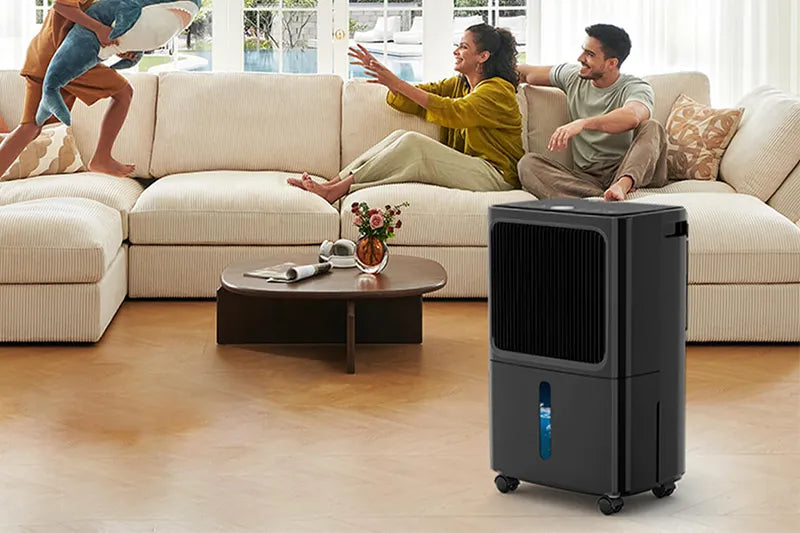5 Pro Tips for Maximum Dehumidifier Efficiency: Placement & Maintenance