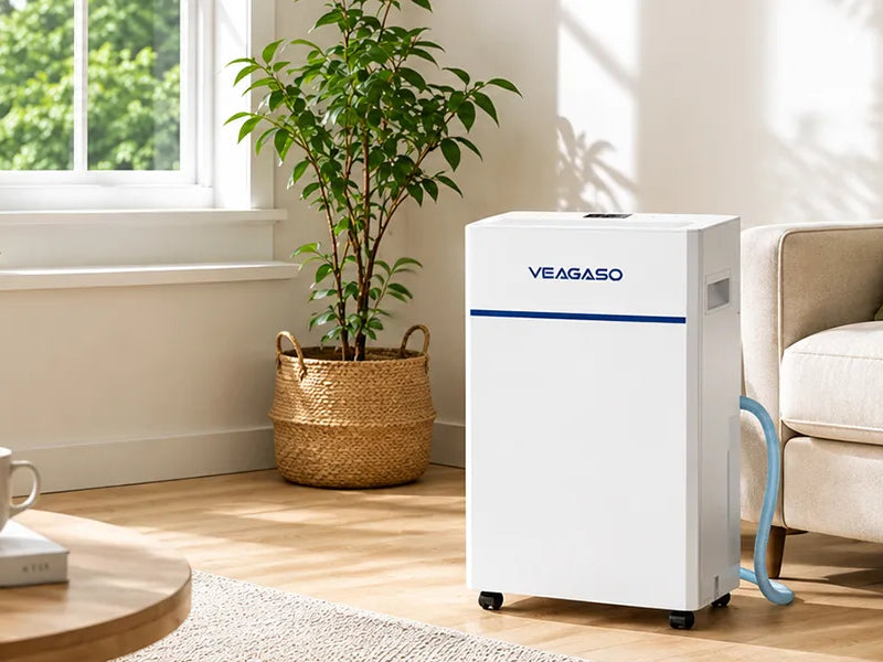 Healthy Living: How Humidity Control Improves Indoor Air Quality