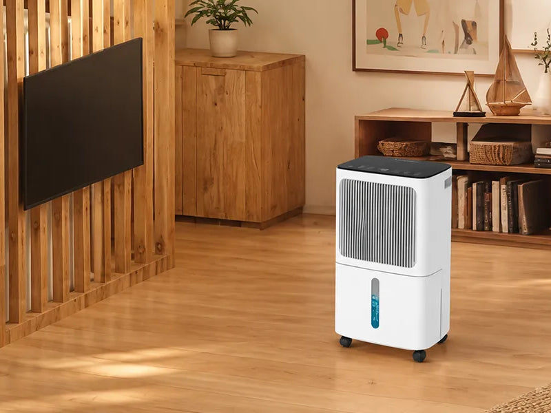 Basement & Crawl Space Humidity Control Guide | VEAGASO