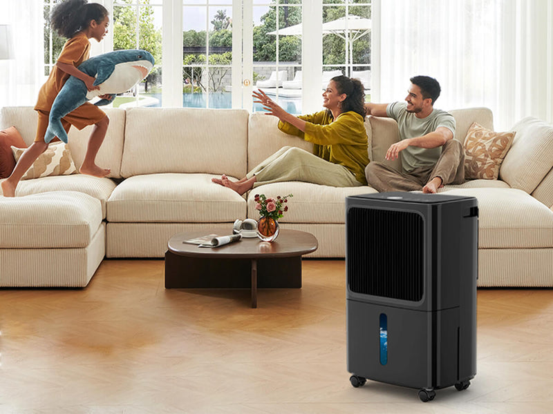 5 Pro Tips for Maximum Dehumidifier Efficiency: Placement & Maintenance